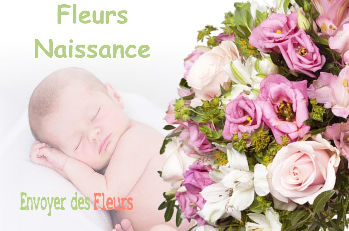 lIVRAISON FLEURS NAISSANCE à SAINTE-FOY-D-AIGREFEUILLE