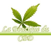 LA BOUTIQUE DU CBD SAINTE-FOY-D-AIGREFEUILLE 